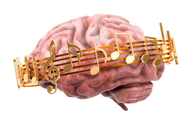 The Power Of Music To Affect Your Brain